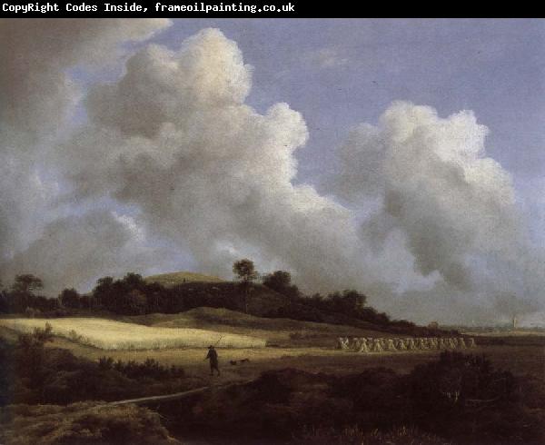 Jacob van Ruisdael View of Grainfields with a Distant town